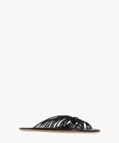 Prairiesky.shopc1e3c98221 2